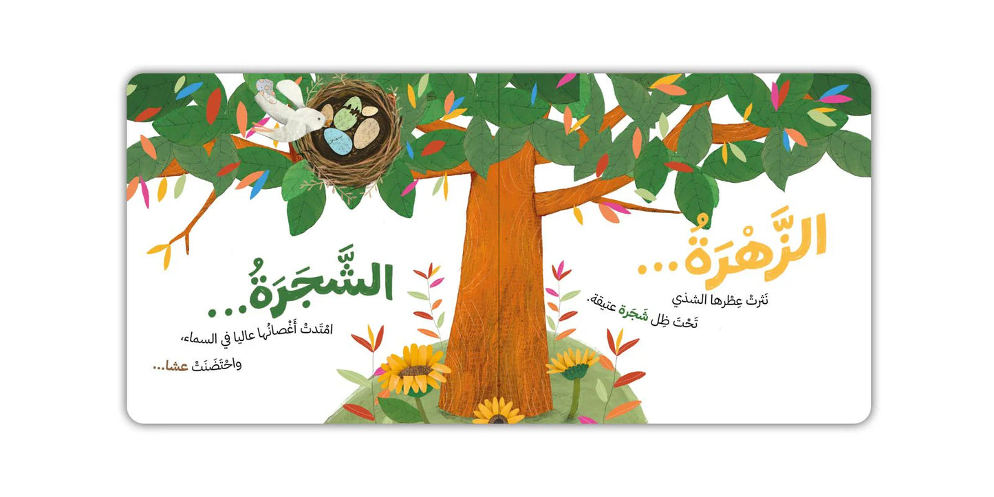 خلف النافذة - Behind the Window