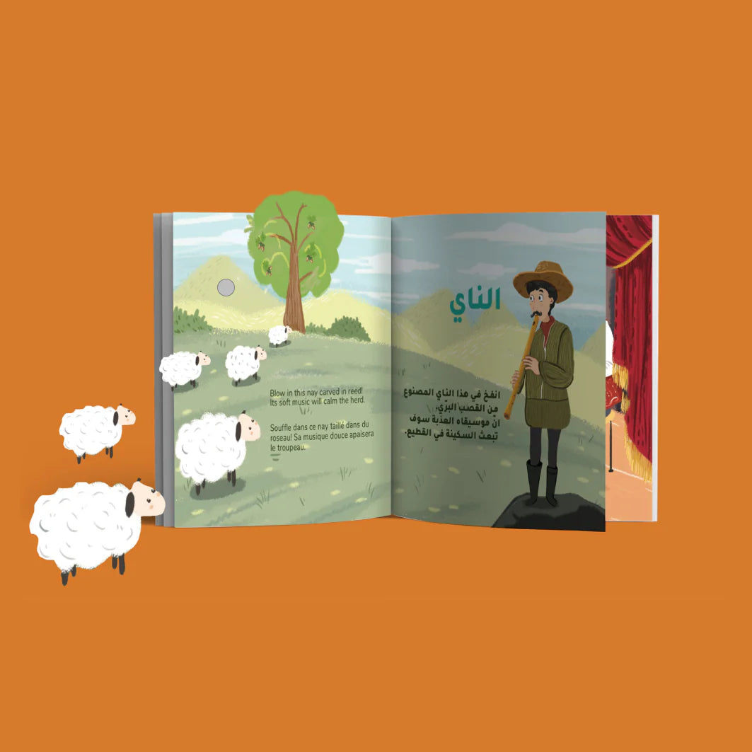 My oriental musical instruments