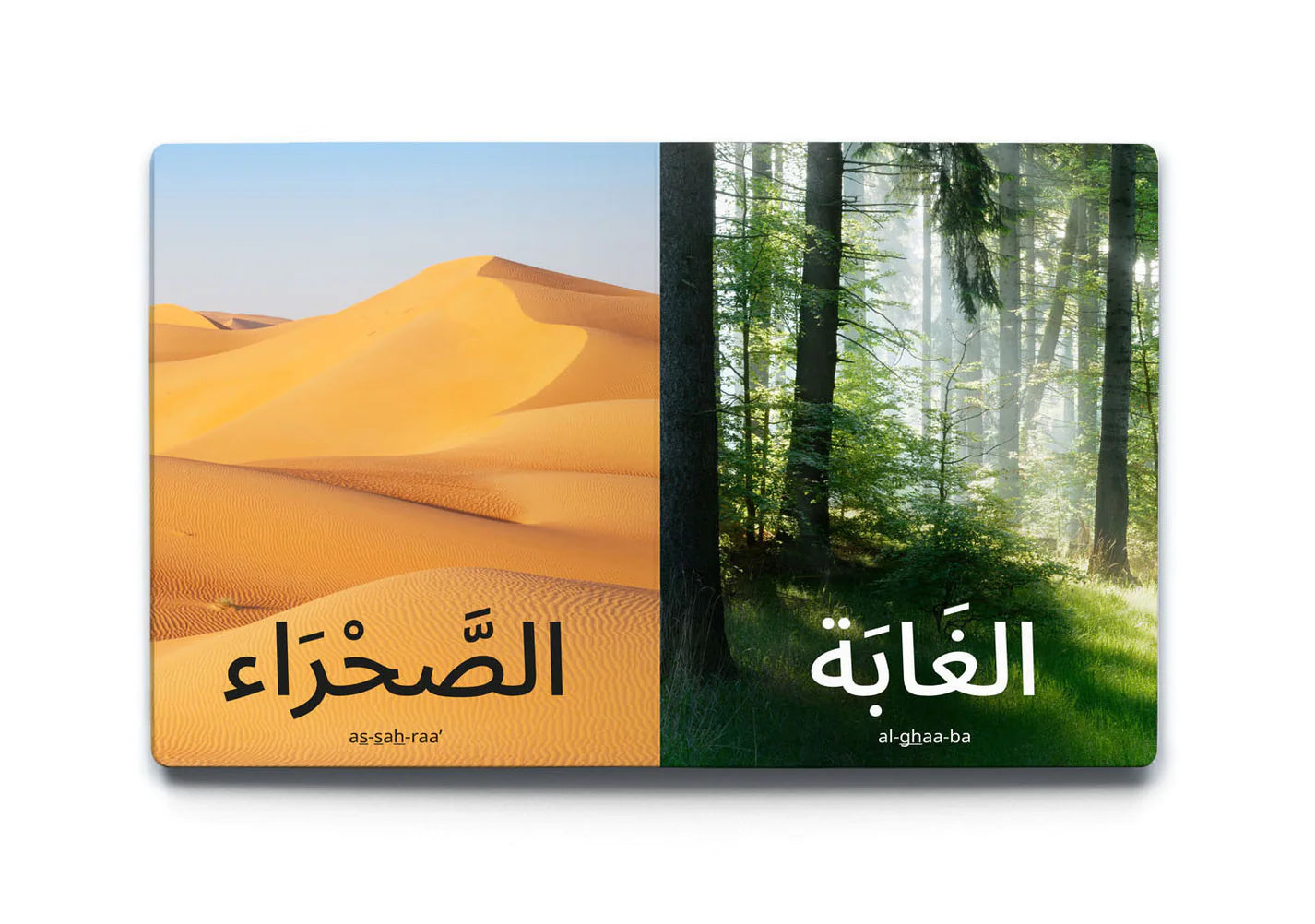 My First Words - Nature (الطَّبِيعَة)