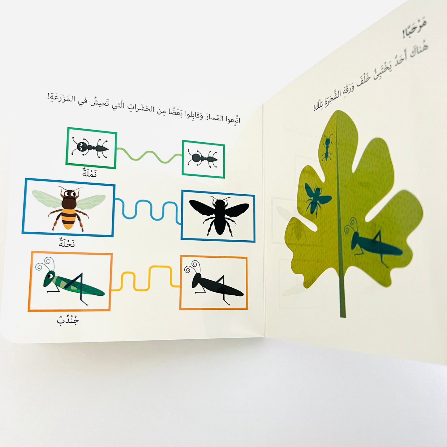 The Montessori Method: My First Book of Farm Animals كتابي الاول في التعرف على  Gently Imperfect Copy (15% Off) الحيوانات المزرعة- مونتيسوري