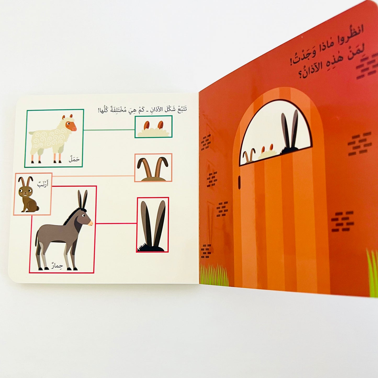 The Montessori Method: My First Book of Farm Animals كتابي الاول في التعرف على  Gently Imperfect Copy (15% Off) الحيوانات المزرعة- مونتيسوري