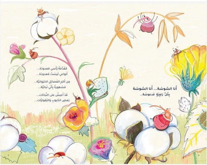 كتاب ولعبة ديوان الحشرات (book + memory game)