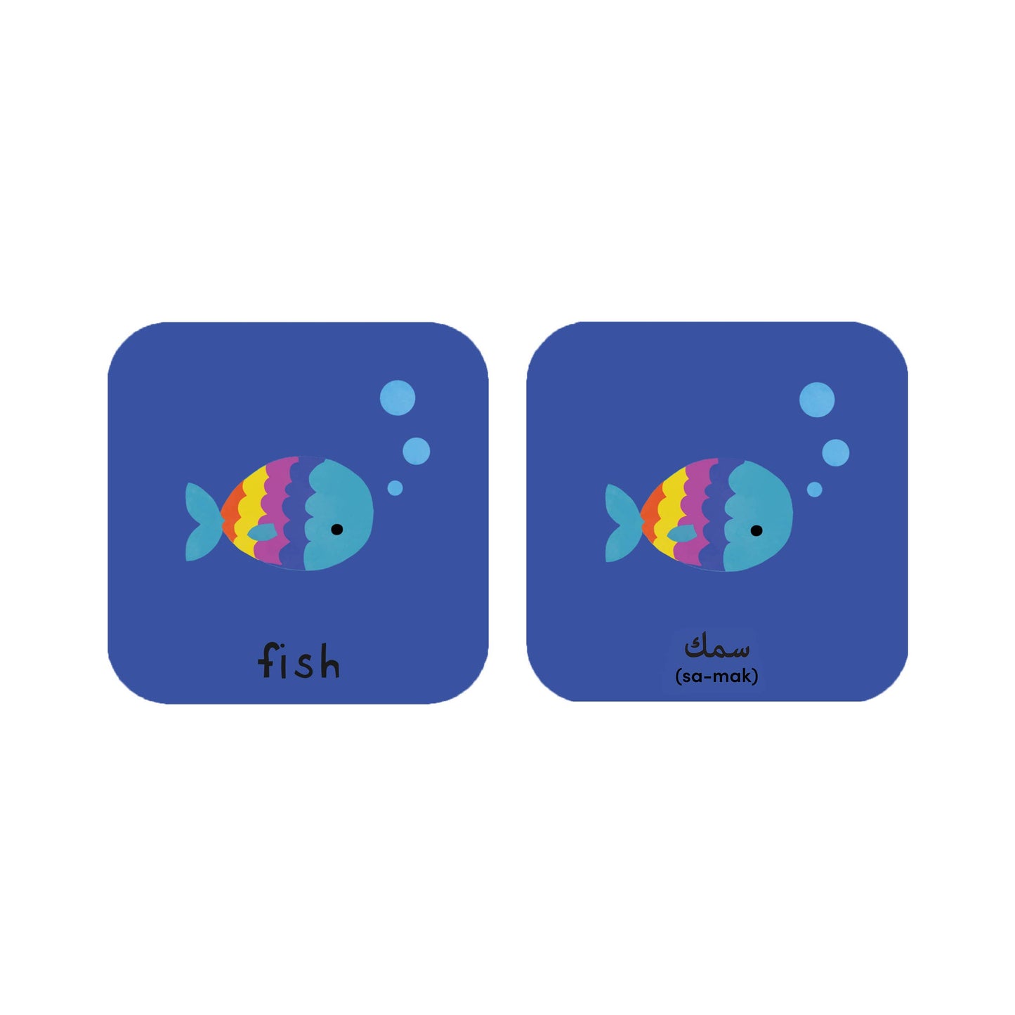 Minilingo Arabic/English Bilingual Flashcards for Kids